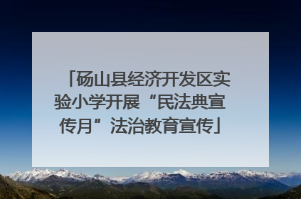 砀山县经济开发区实验小学开展“民法典宣传月”法治教育宣传