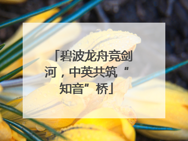 碧波龙舟竞剑河，中英共筑“知音”桥