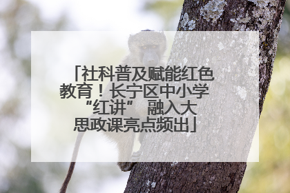社科普及赋能红色教育！长宁区中小学 “红讲” 融入大思政课亮点频出