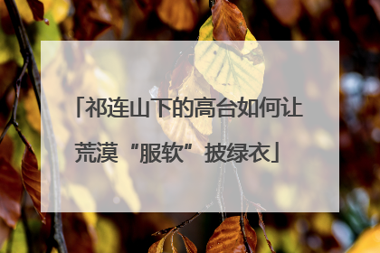 祁连山下的高台如何让荒漠“服软”披绿衣