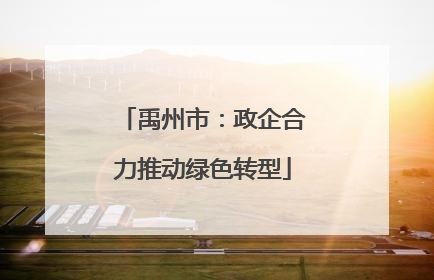 禹州市：政企合力推动绿色转型