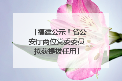 福建公示！省公安厅两位党委委员拟获提拔任用