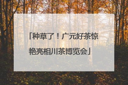 种草了！广元好茶惊艳亮相川茶博览会