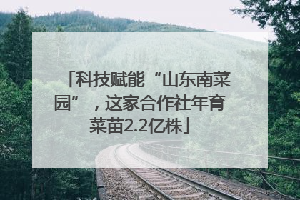 科技赋能“山东南菜园”，这家合作社年育菜苗2.2亿株