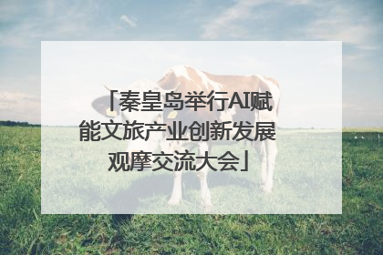 秦皇岛举行AI赋能文旅产业创新发展观摩交流大会