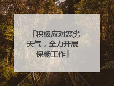 积极应对恶劣天气，全力开展保畅工作