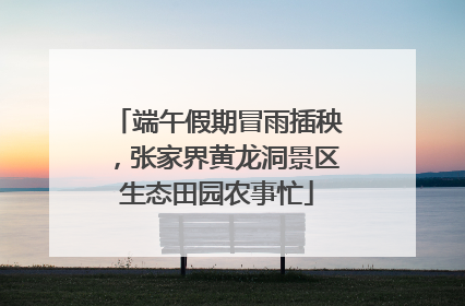 端午假期冒雨插秧，张家界黄龙洞景区生态田园农事忙