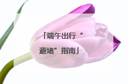 端午出行“避堵”指南