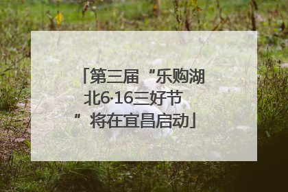 第三届“乐购湖北6·16三好节”将在宜昌启动