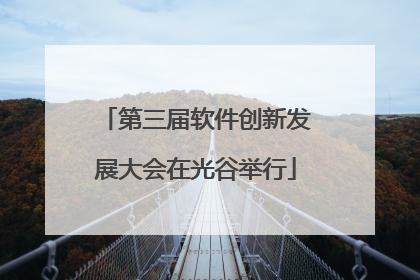 第三届软件创新发展大会在光谷举行