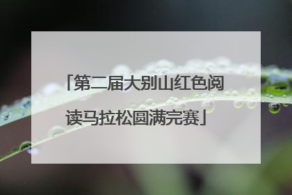 第二届大别山红色阅读马拉松圆满完赛