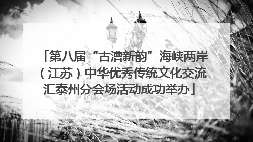 第八届“古漕新韵”海峡两岸（江苏）中华优秀传统文化交流汇泰州分会场活动成功举办