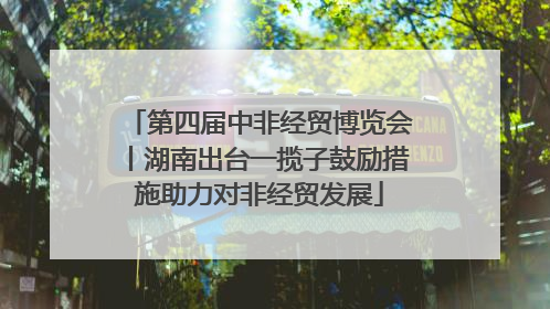 第四届中非经贸博览会丨湖南出台一揽子鼓励措施助力对非经贸发展