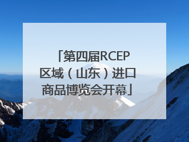 第四届RCEP区域（山东）进口商品博览会开幕