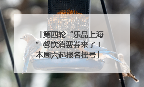 第四轮“乐品上海”餐饮消费券来了！本周六起报名摇号