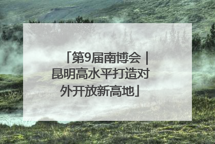 第9届南博会｜昆明高水平打造对外开放新高地