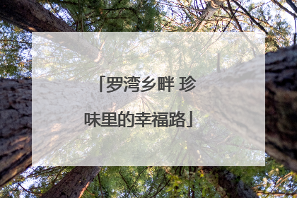 罗湾乡畔 珍味里的幸福路