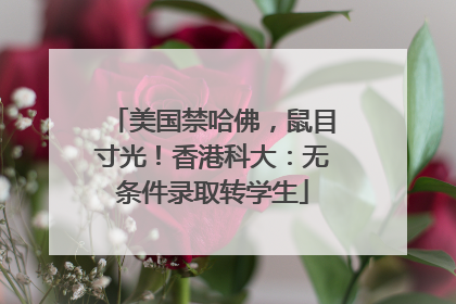 美国禁哈佛，鼠目寸光！香港科大：无条件录取转学生