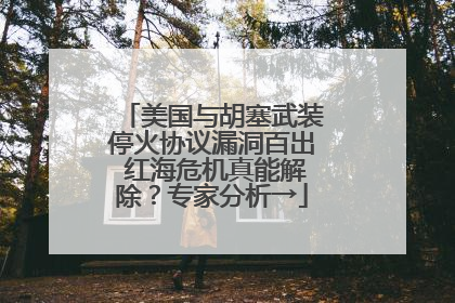 美国与胡塞武装停火协议漏洞百出 红海危机真能解除？专家分析→