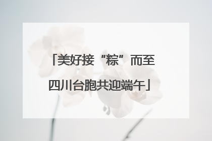 美好接“粽”而至 四川台胞共迎端午
