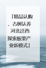 精品认购、古树认养 河北迁西探索板栗产业新模式