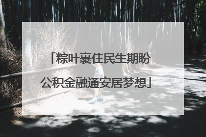 粽叶裹住民生期盼 公积金融通安居梦想