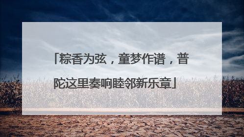粽香为弦，童梦作谱，普陀这里奏响睦邻新乐章