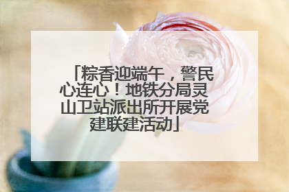 粽香迎端午，警民心连心！地铁分局灵山卫站派出所开展党建联建活动