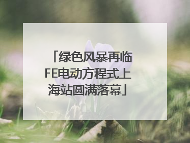绿色风暴再临 FE电动方程式上海站圆满落幕