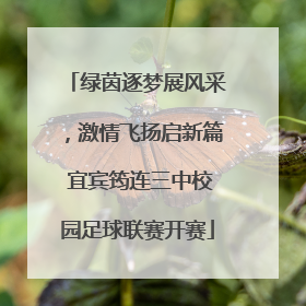 绿茵逐梦展风采，激情飞扬启新篇 宜宾筠连三中校园足球联赛开赛