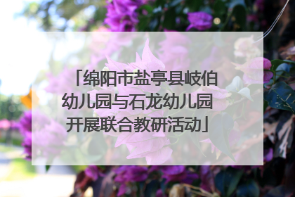 绵阳市盐亭县岐伯幼儿园与石龙幼儿园开展联合教研活动