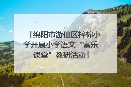 绵阳市游仙区梓棉小学开展小学语文“富乐课堂”教研活动