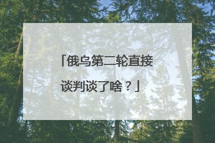 俄乌第二轮直接谈判谈了啥？