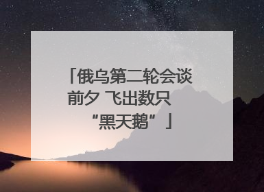 俄乌第二轮会谈前夕 飞出数只 “黑天鹅”