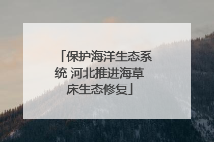 保护海洋生态系统 河北推进海草床生态修复