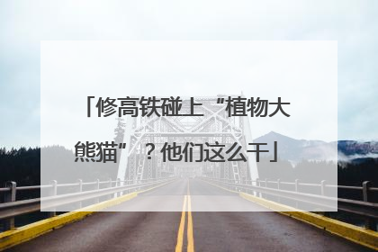 修高铁碰上“植物大熊猫”？他们这么干