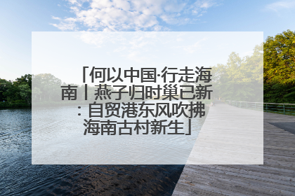 何以中国·行走海南丨燕子归时巢已新：自贸港东风吹拂 海南古村新生