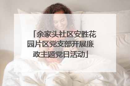 余家头社区安胜花园片区党支部开展廉政主题党日活动