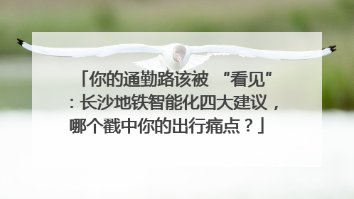 你的通勤路该被 “看见”：长沙地铁智能化四大建议，哪个戳中你的出行痛点？