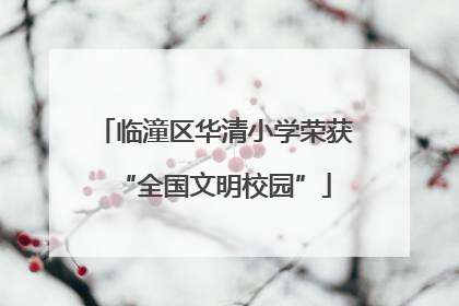 临潼区华清小学荣获“全国文明校园”