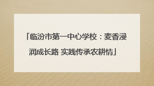 临汾市第一中心学校：麦香浸润成长路 实践传承农耕情