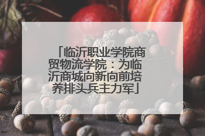 临沂职业学院商贸物流学院：为临沂商城向新向前培养排头兵主力军