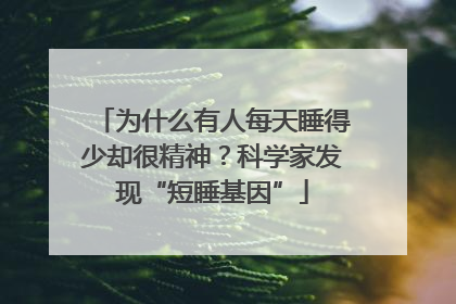 为什么有人每天睡得少却很精神？科学家发现“短睡基因”