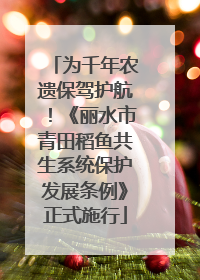 为千年农遗保驾护航！《丽水市青田稻鱼共生系统保护发展条例》正式施行