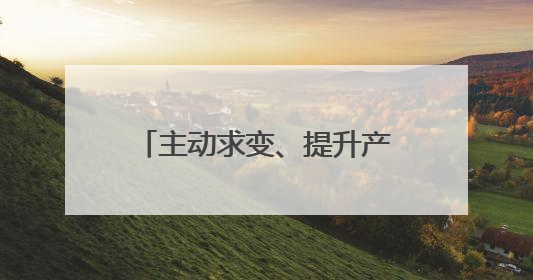 主动求变、提升产品竞争力、“多条腿”走路 跨境电商新大门在打开