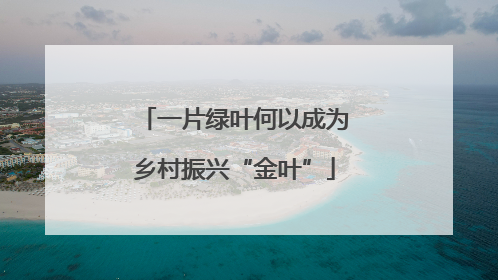 一片绿叶何以成为乡村振兴“金叶”