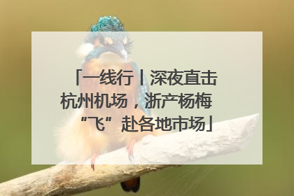 一线行丨深夜直击杭州机场，浙产杨梅“飞”赴各地市场