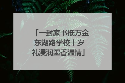 一封家书抵万金 东湖路学校十岁礼浸润墨香温情