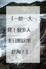 一挖一大筐！很多人来日照这里赶海！