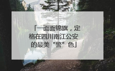一面面锦旗，定格在四川南江公安的最美“警”色